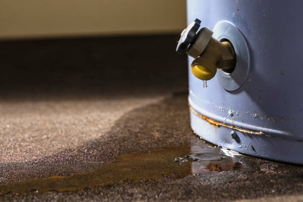  Six Mile, SC Water damage restoration Pros