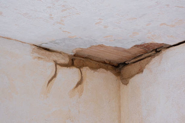 Best 24/7 water damage repair  in Six Mile, SC