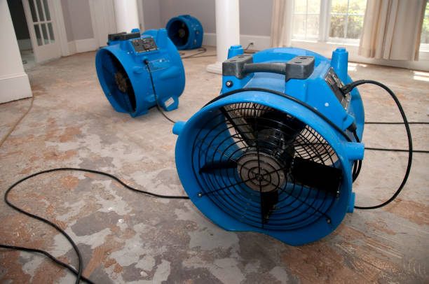 Best 24/7 water damage repair  in Six Mile, SC