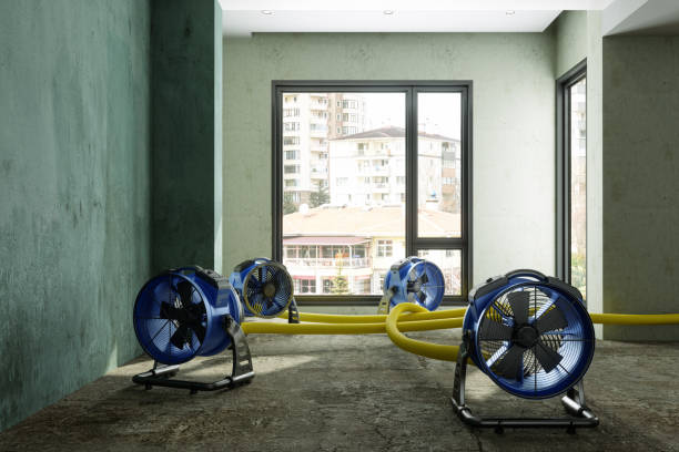 Best Ceiling water damage repair  in Six Mile, SC