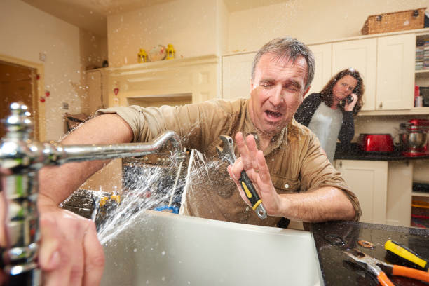 Best Professional water damage repair  in Six Mile, SC